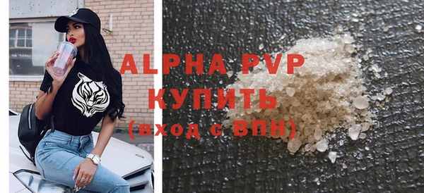 индика Алексин