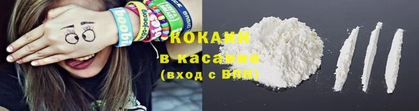 индика Алексин