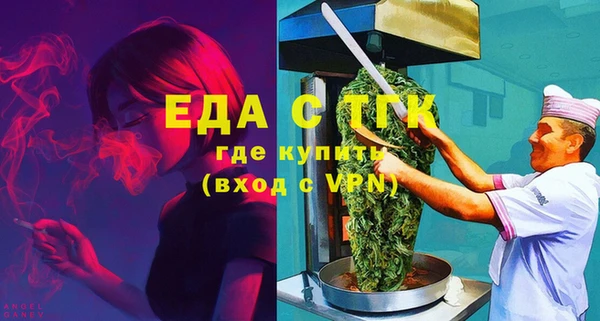 индика Алексин