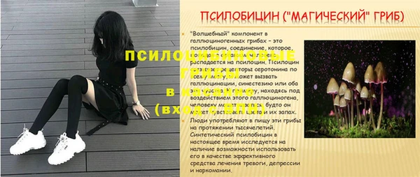 jwh Алзамай
