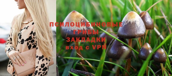 марки nbome Алексеевка
