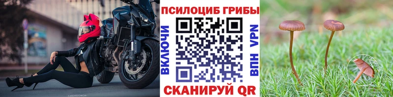 даркнет сайт Гусь-Хрустальный Псилоцибиновые грибы мухоморы