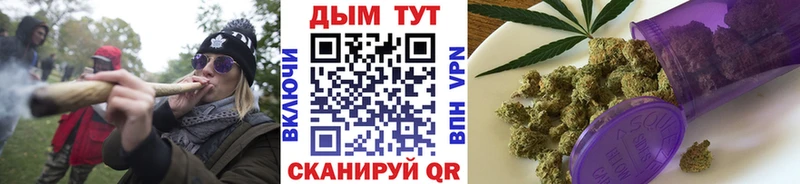 продажа наркотиков  Гусь-Хрустальный  Бошки Шишки сатива 